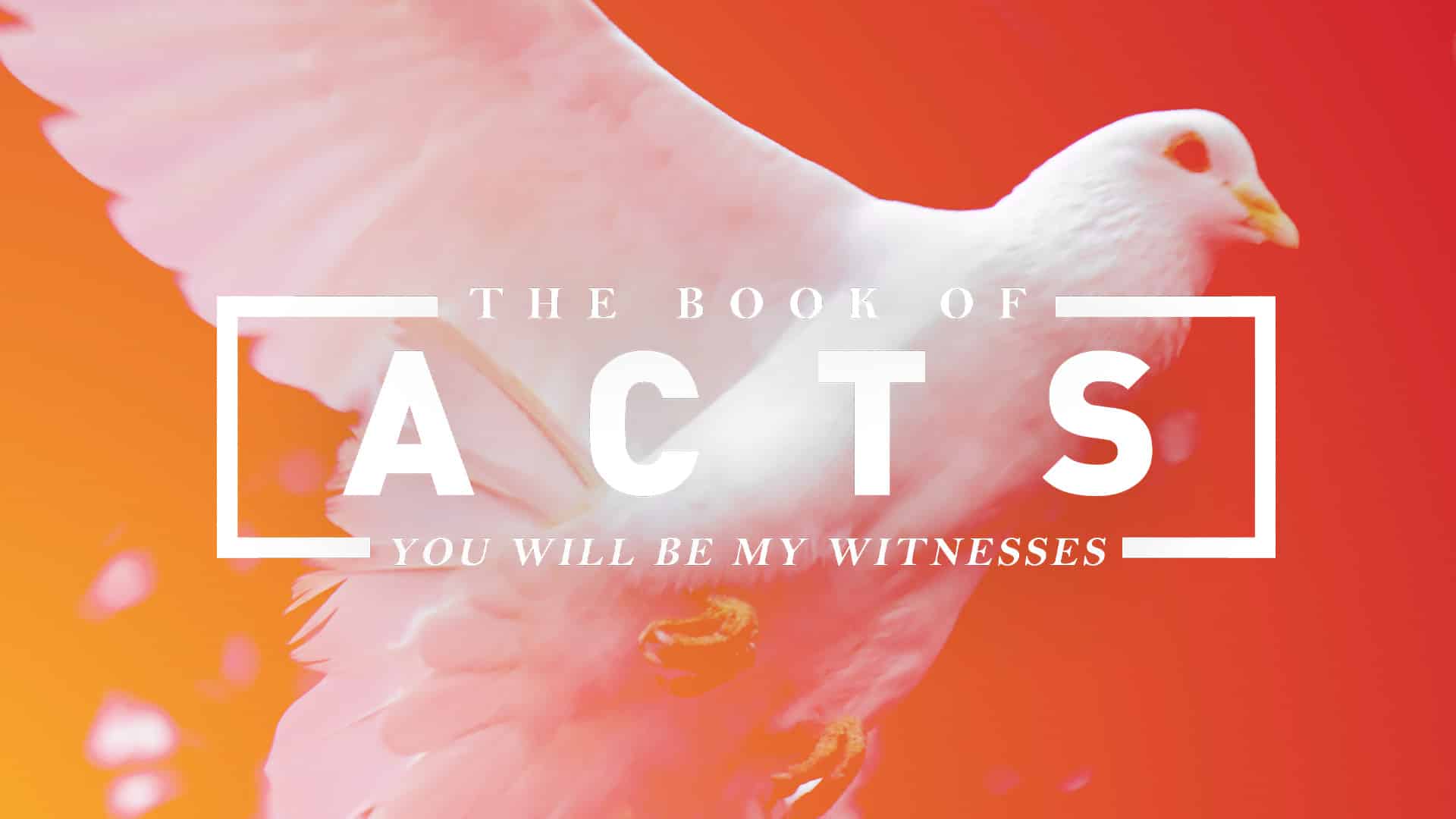 Book of Acts: Pentecost Week 2